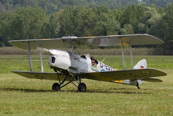 D-ESYS - Private de Havilland DH. 82 Tiger Moth