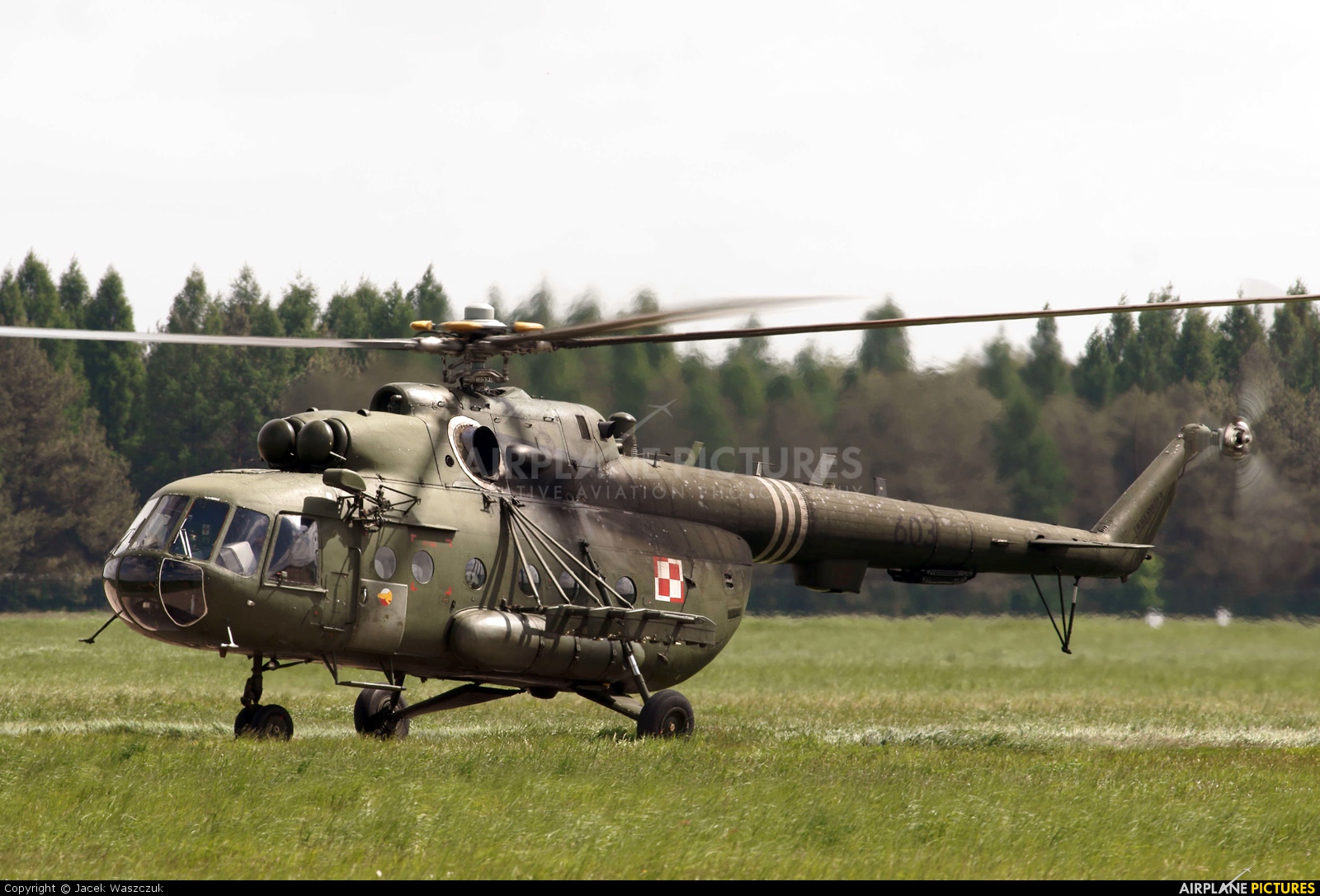 Poland - Army 603 aircraft at Nowy Glinnik
