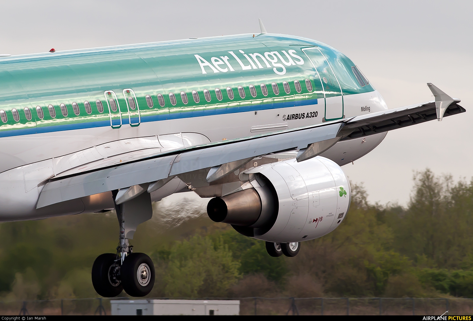 Aer Lingus EI-DVL aircraft at Manchester