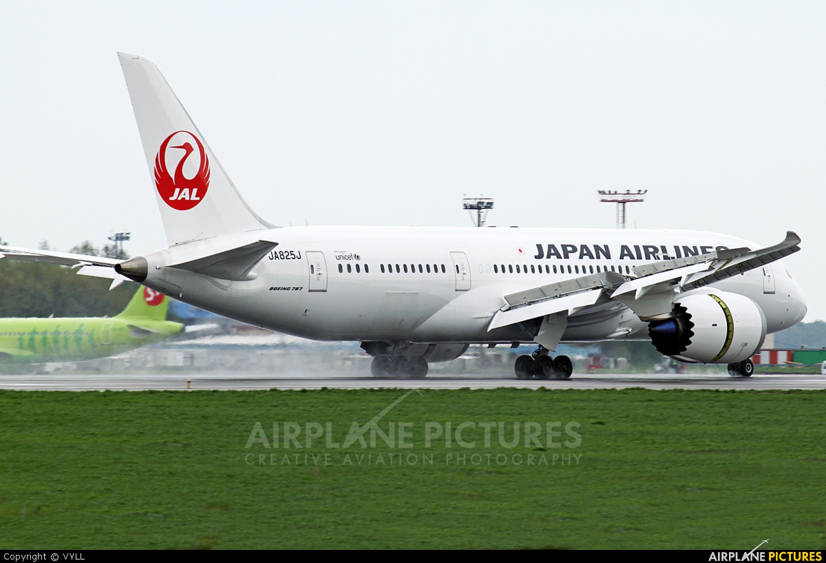 JAL - Japan Airlines JA825J aircraft at Moscow - Domodedovo