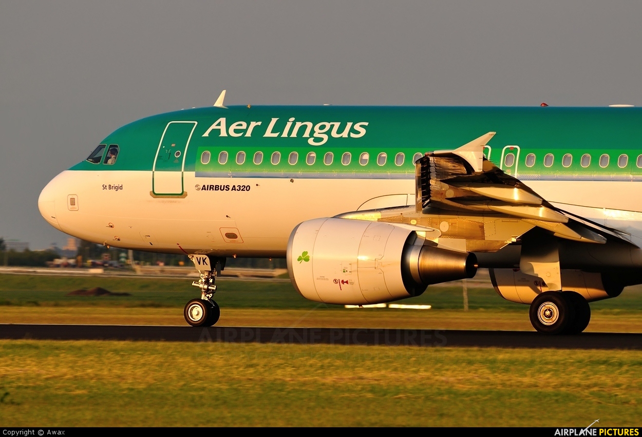 Aer Lingus EI-DVK aircraft at Amsterdam - Schiphol
