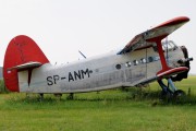 Aeroklub Leszczyński SP-ANM image