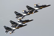 - - Korea (South) - Air Force: Black Eagles Korean Aerospace T-50 Golden Eagle aircraft