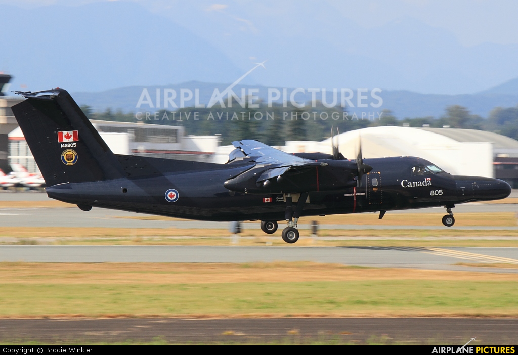 Canada - Air Force 142805 aircraft at Abbotsford, BC