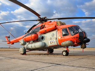 H-94 - Argentina - Air Force Mil Mi-171