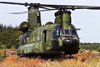 D-666 - Netherlands - Air Force Boeing CH-47D Chinook