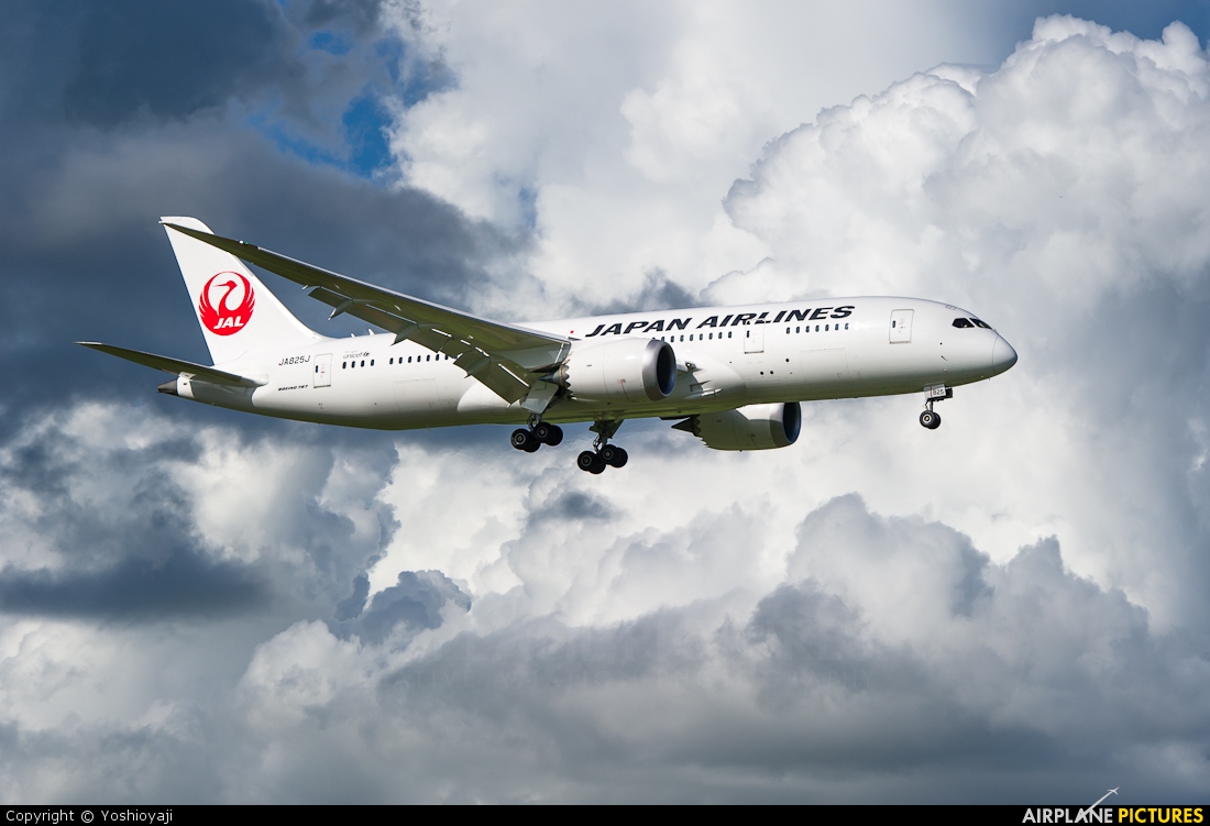 JAL - Japan Airlines JA825J aircraft at Tokyo - Narita Intl