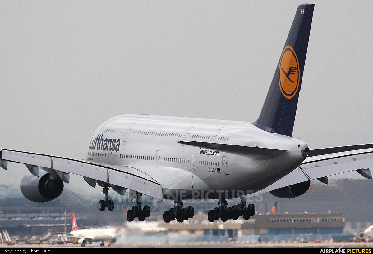 Lufthansa D-AIMG aircraft at Frankfurt