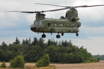 D-666 - Netherlands - Air Force Boeing CH-47D Chinook