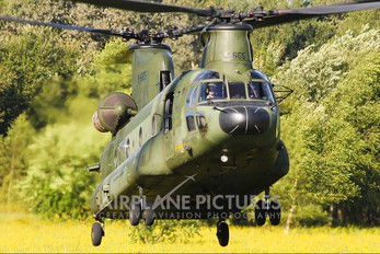D-665 - Netherlands - Air Force Boeing CH-47D Chinook