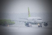 VP-BTN - S7 Airlines Airbus A319 aircraft