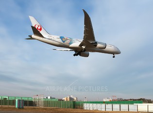 JA828J - JAL - Japan Airlines Boeing 787-8 Dreamliner