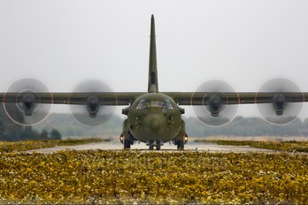 ZH869 - Royal Air Force Lockheed Hercules C.4