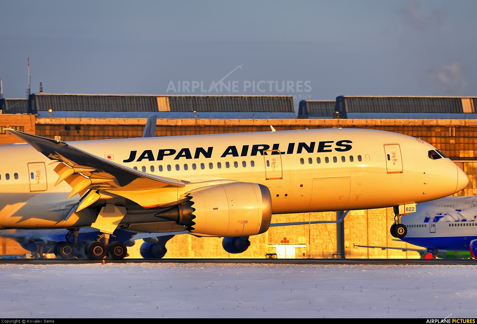 JAL - Japan Airlines JA822J aircraft at Moscow - Domodedovo