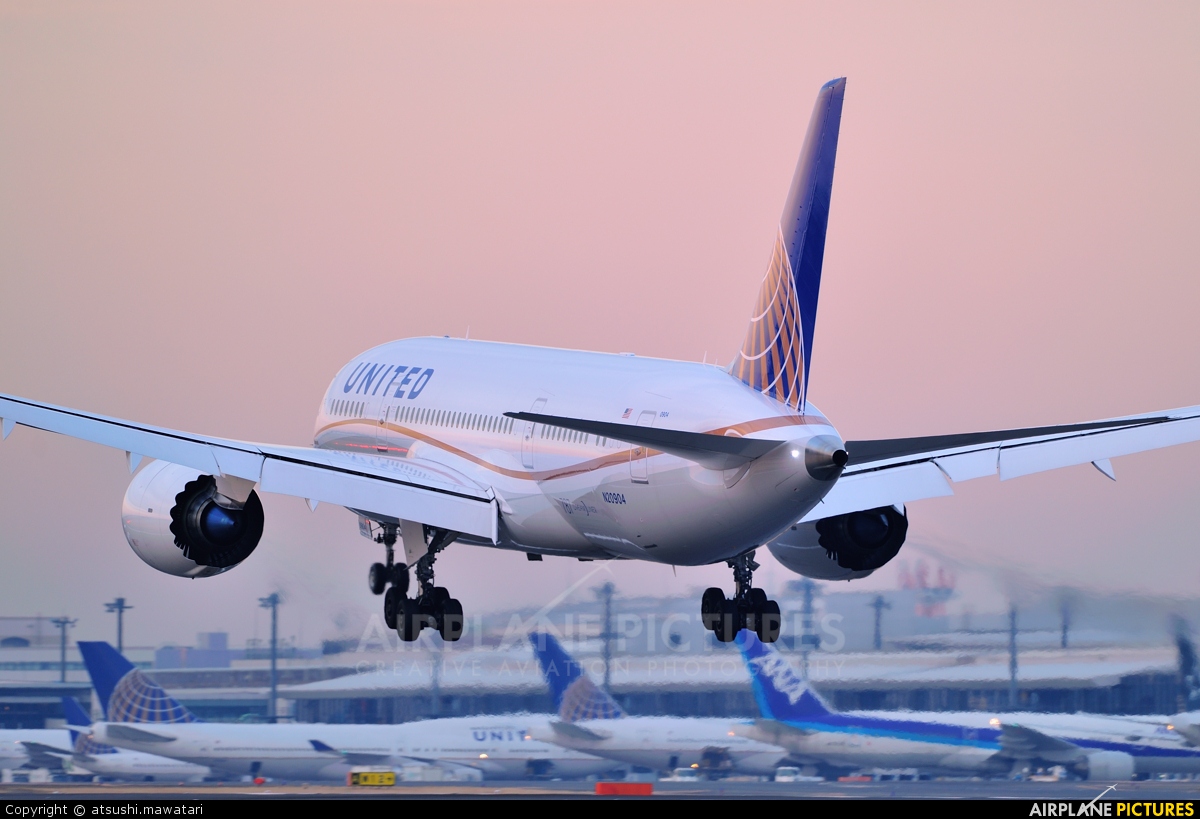 United Airlines N20904 aircraft at Tokyo - Narita Intl