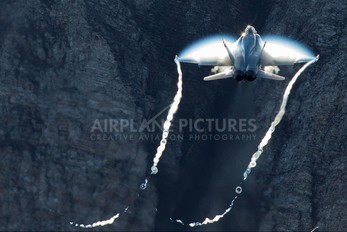 - - Switzerland - Air Force McDonnell Douglas F/A-18C Hornet
