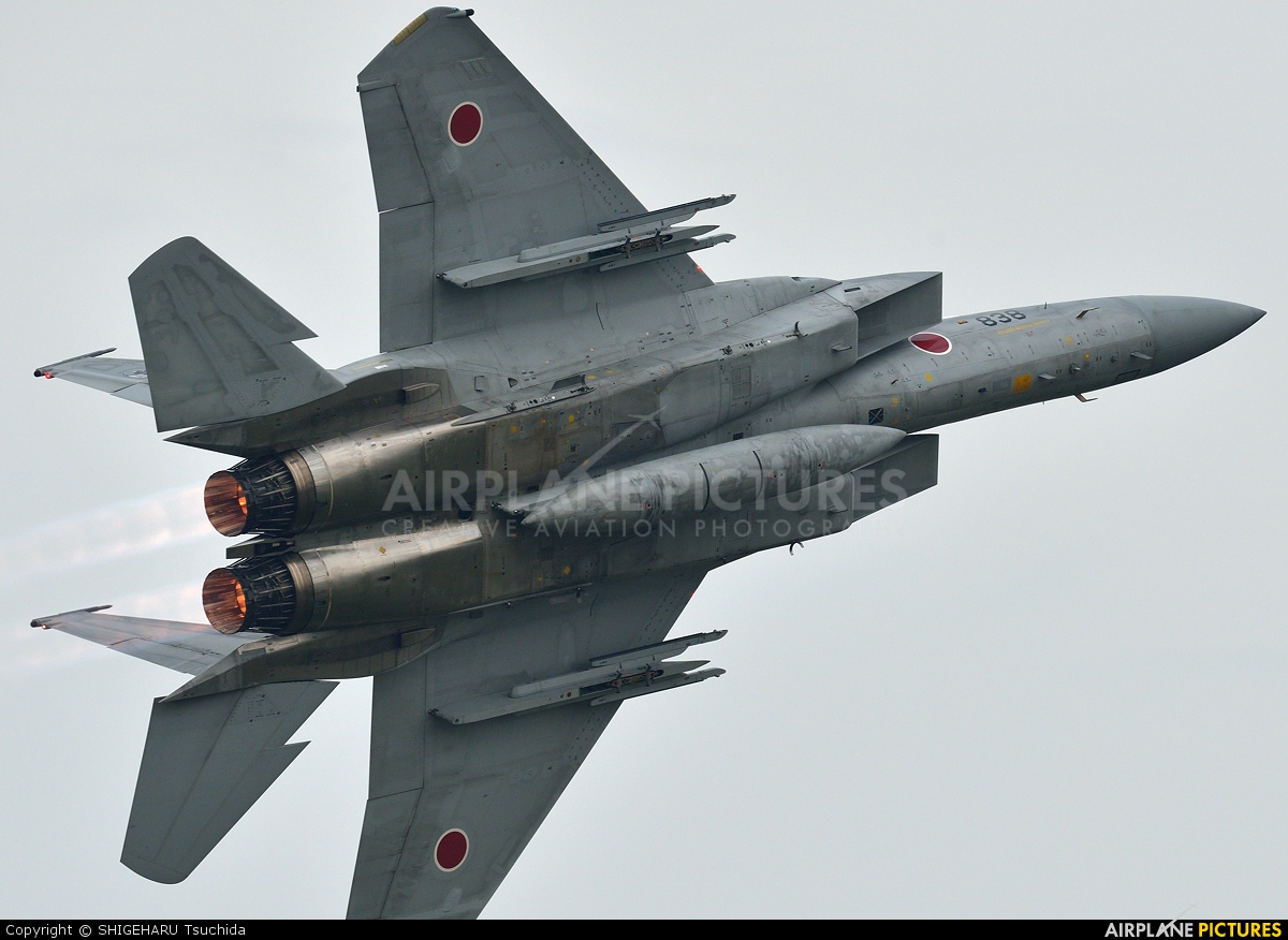 Japan - Air Self Defence Force 42-8838 aircraft at Iruma AB