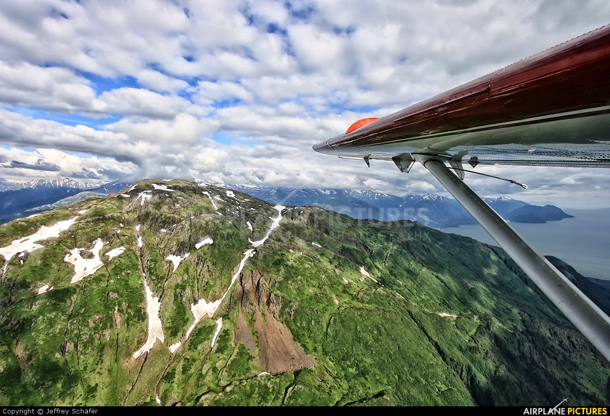 Wings of Alaska N338AK aircraft at In Flight - Alaska