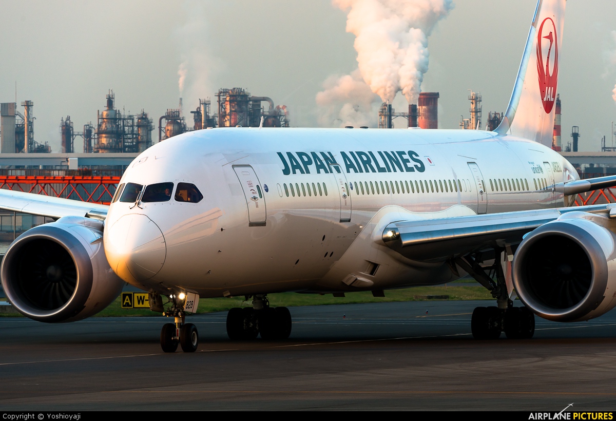 JAL - Japan Airlines JA828J aircraft at Tokyo - Haneda Intl