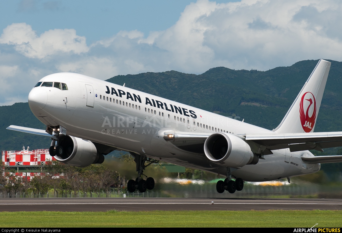 JAL - Japan Airlines JA655J aircraft at Kagoshima