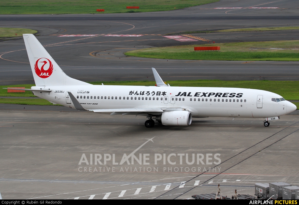 JAL - Express JA338J aircraft at Tokyo - Haneda Intl