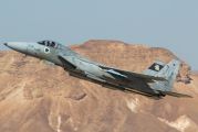 698 - Israel - Defence Force McDonnell Douglas F-15C Eagle aircraft