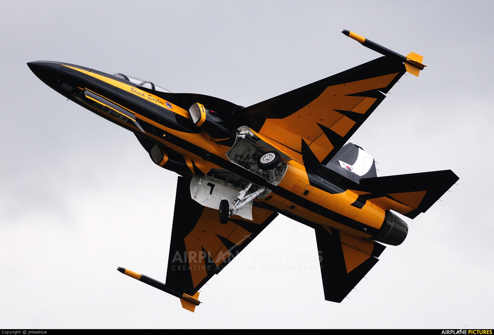 Korea (South) - Air Force: Black Eagles - aircraft at Farnborough