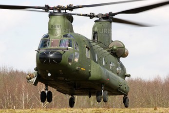 D-661 - Netherlands - Air Force Boeing CH-47D Chinook