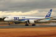 JA816A - ANA - All Nippon Airways Boeing 787-8 Dreamliner aircraft