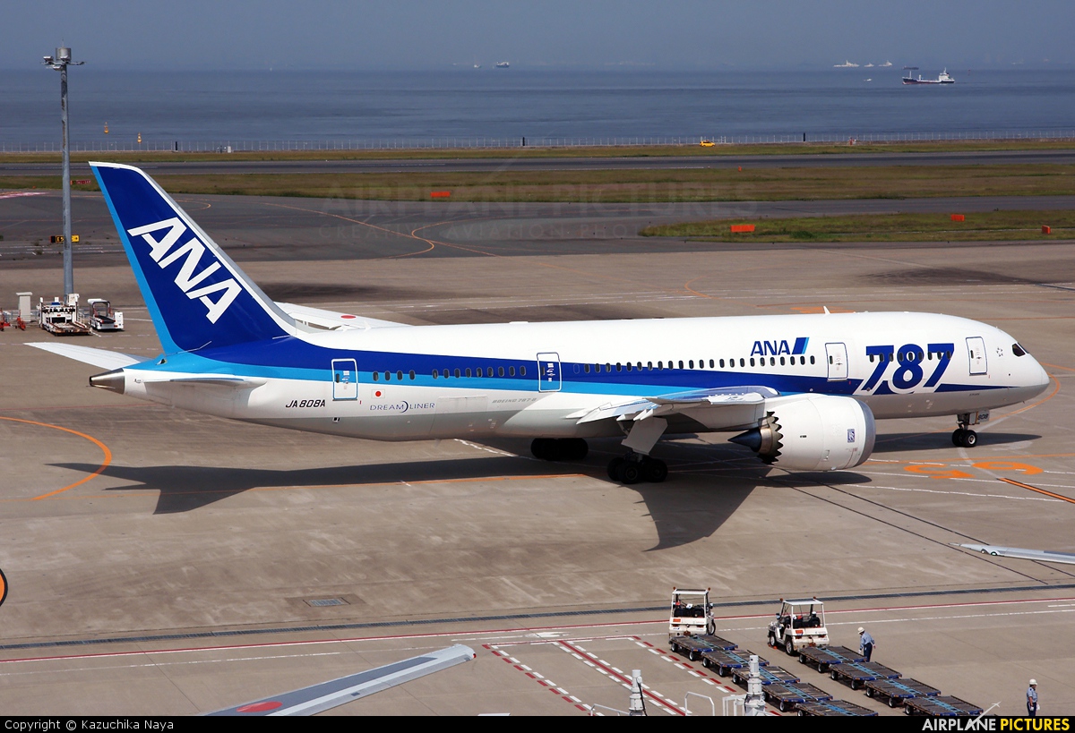 ANA - All Nippon Airways JA808A aircraft at Tokyo - Haneda Intl