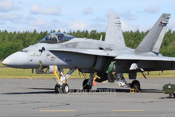HN-424 - Finland - Air Force McDonnell Douglas F-18C Hornet
