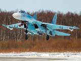 46 - Russia - Air Force Sukhoi Su-27 aircraft