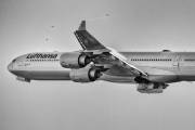 Lufthansa D-AIHF image