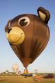 G-OURS - Private Sky Balloons Sky 120 - 24 aircraft