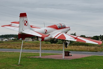 - - Poland - Air Force PZL TS-11 Iskra