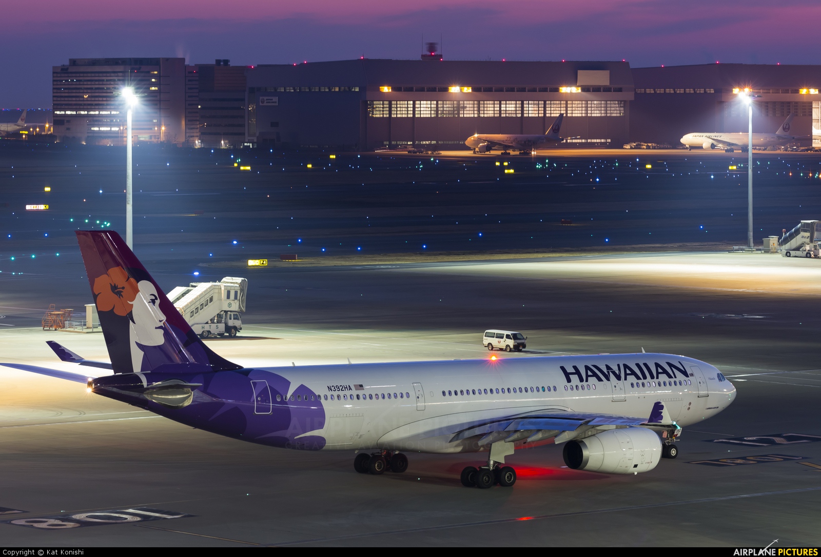 Hawaiian Airlines N392HA aircraft at Tokyo - Haneda Intl