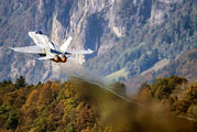 J-5010 - Switzerland - Air Force McDonnell Douglas F/A-18C Hornet aircraft