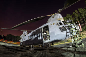 D-891 - Netherlands - Air Force Boeing CH-47F Chinook