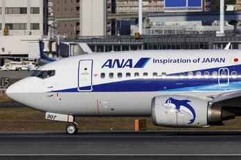 JA307K - ANA Wings Boeing 737-500