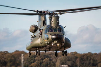 ZH901 - Royal Air Force Boeing Chinook HC.3