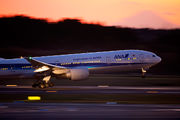 ANA - All Nippon Airways JA788A image