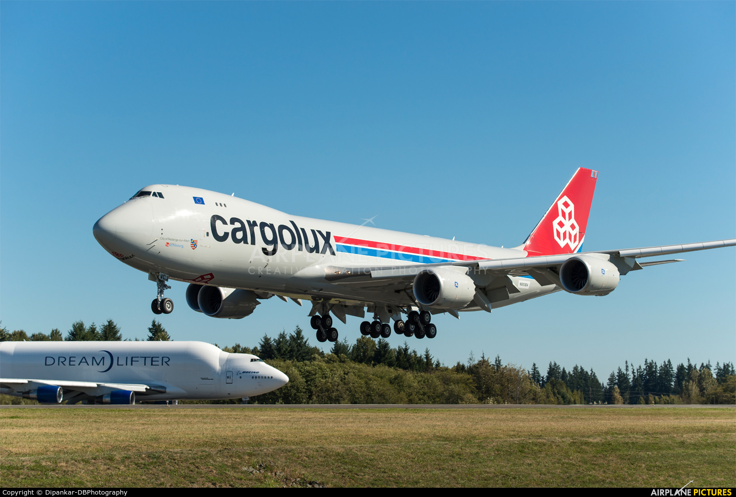 Cargolux N803BA aircraft at Everett - Snohomish County / Paine Field