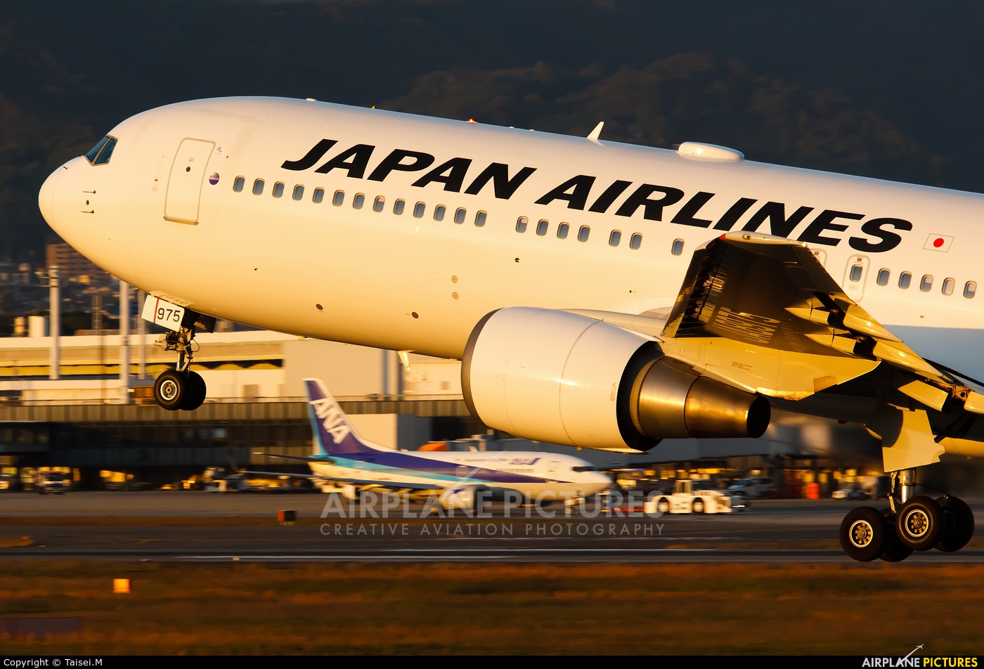 JAL - Japan Airlines JA8975 aircraft at Osaka - Itami Intl
