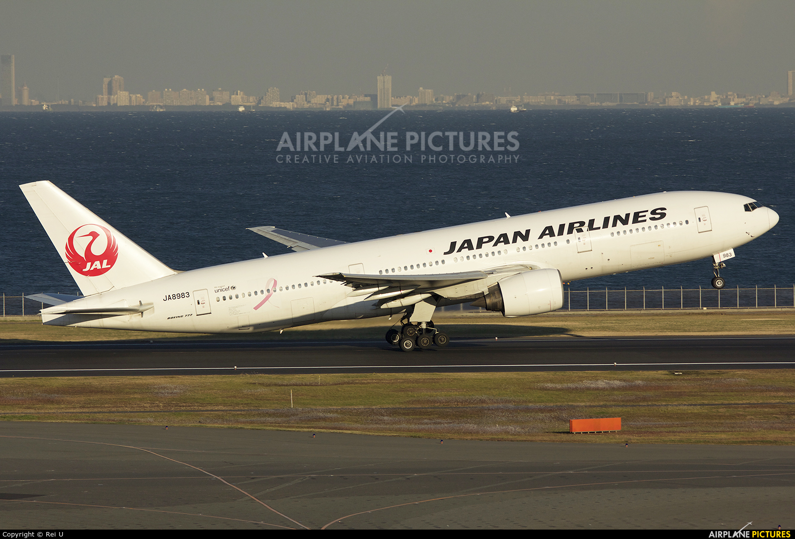 JAL - Japan Airlines JA8983 aircraft at Tokyo - Haneda Intl