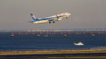 ANA - All Nippon Airways JA55AN image