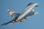 Royal Air Force - image