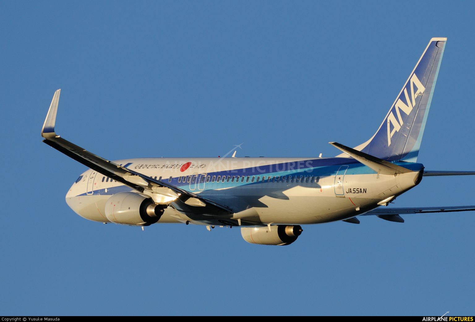 ANA - All Nippon Airways JA55AN aircraft at Shizuoka