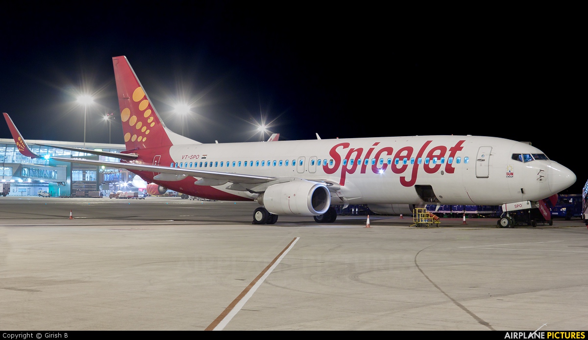 VT-SPO - SpiceJet Boeing 737-800 at Delhi - Indira Gandhi ...