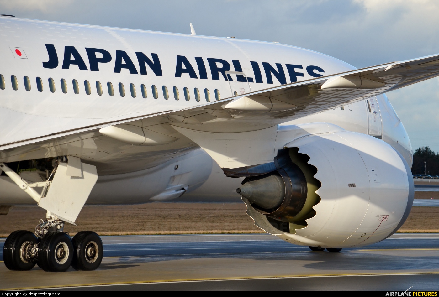 JAL - Japan Airlines JA826J aircraft at Frankfurt