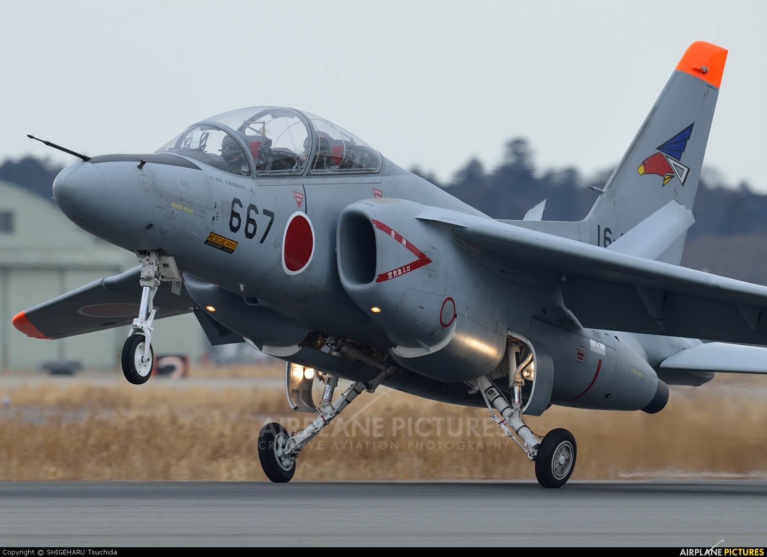 Japan - Air Self Defence Force 16-5667 aircraft at Ibaraki - Hyakuri AB